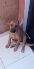 Jade