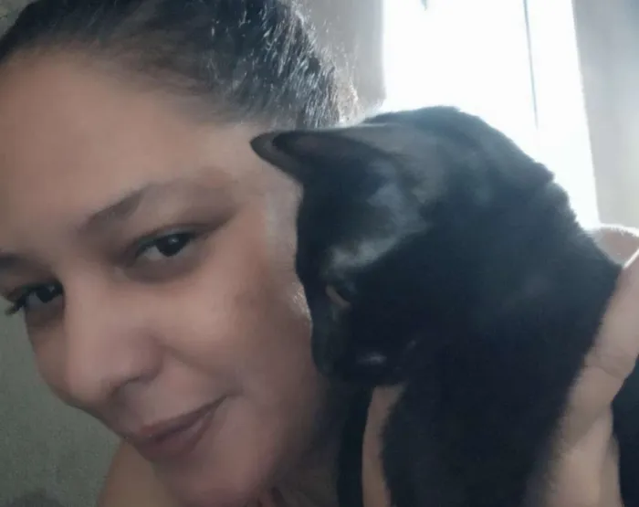 Gato raça Mistura com Siamês idade 2 a 6 meses nome Frajola e Luna