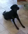 Kiara