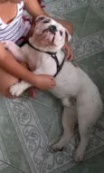 Boody
