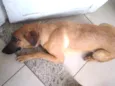 Menina