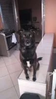 John