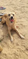 Nika