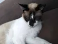 Tom