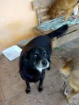 Sid