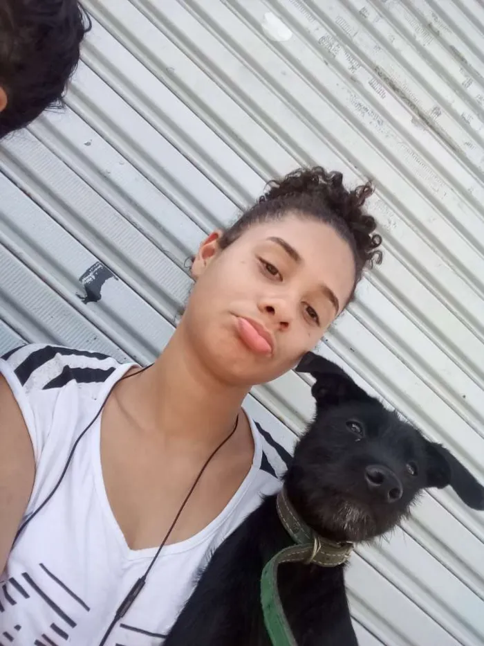 Cachorro ra a  idade 2 a 6 meses nome Spayki