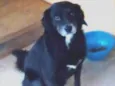 Sid