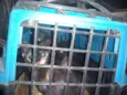 Gatos