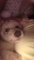 Kin