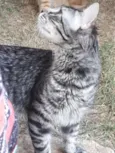 Théo 
