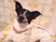 Nina