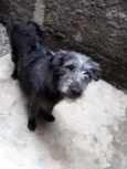 Romieta