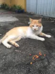 Zé 