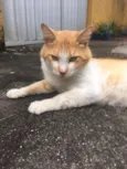 Zé 