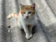Zé 