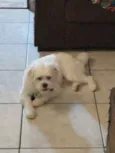 Bob