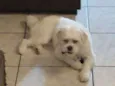 Bob