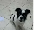 Billy