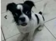 Billy