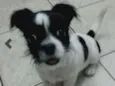 Billy
