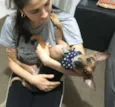 Pitoco