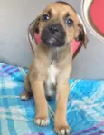 LULU