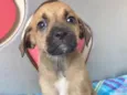 LULU