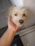 Bilu