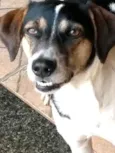 Nininha