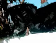 Sem nome