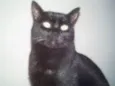 NINA