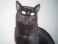 NINA