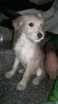 Marley