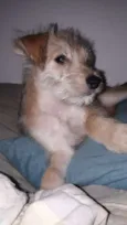 Marley