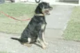 Bolinha