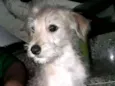 Marley