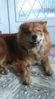 Leonardo