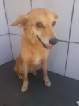 Cotoco