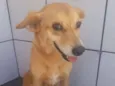Cotoco