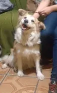 Jully