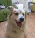 Jully