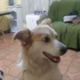 Jully