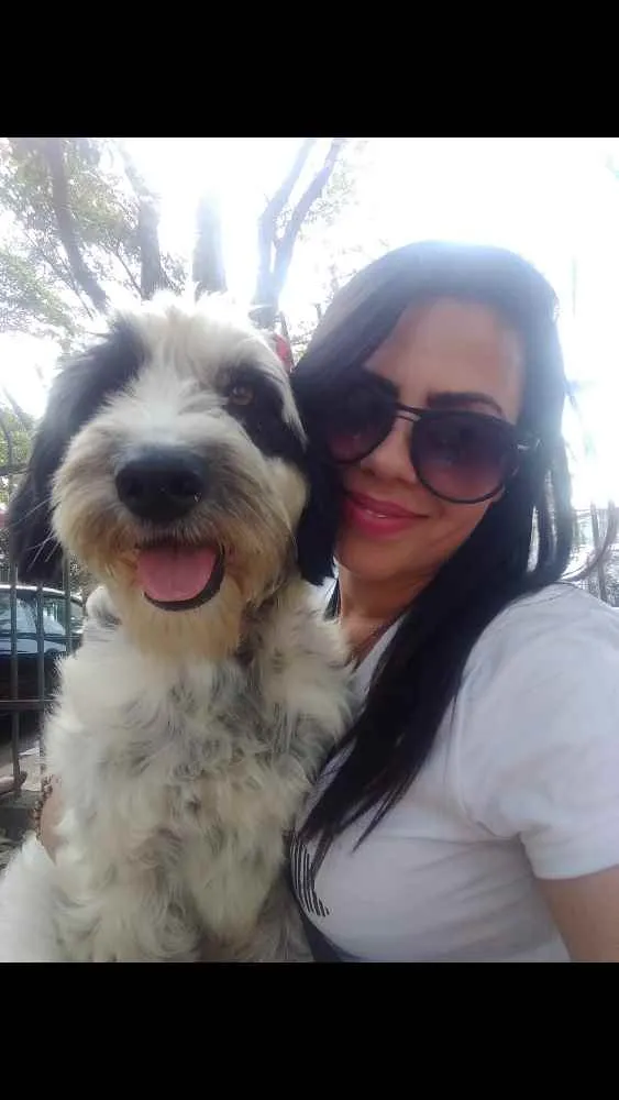 Cachorro ra a SRD idade 2 anos nome KIMBERLY