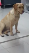 Julie