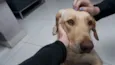 Julie