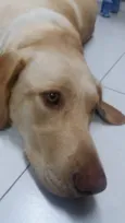 Julie