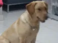 Julie