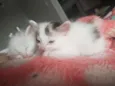 Magali e Monica