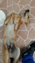 Nemo
