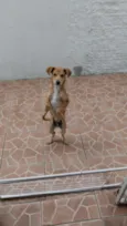 Nemo